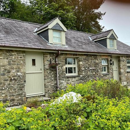 Вілла Crug Yr Eryr Isaf Llandysul Екстер'єр фото