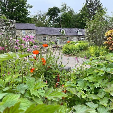 Вілла Crug Yr Eryr Isaf Llandysul Екстер'єр фото