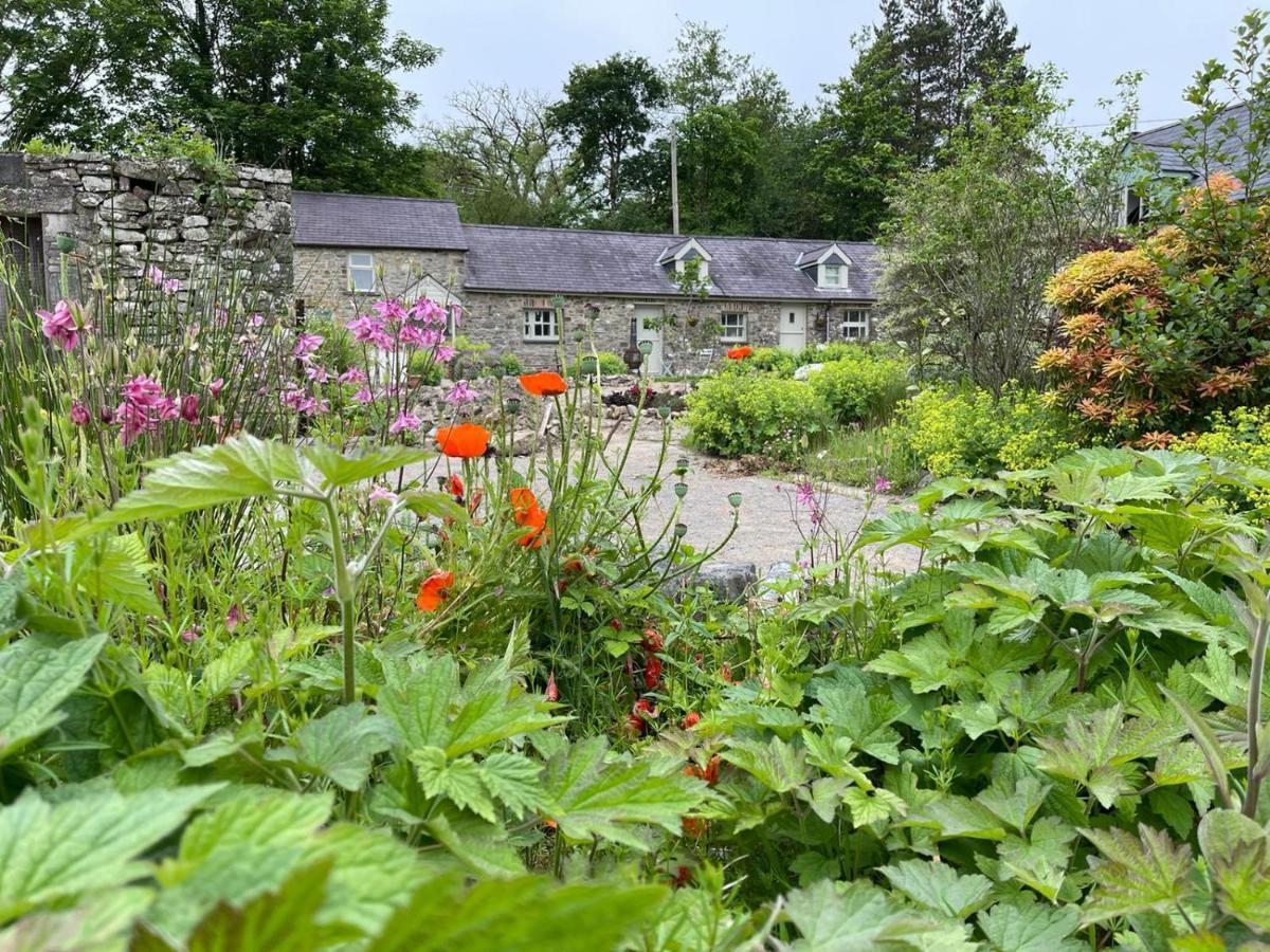 Вілла Crug Yr Eryr Isaf Llandysul Екстер'єр фото